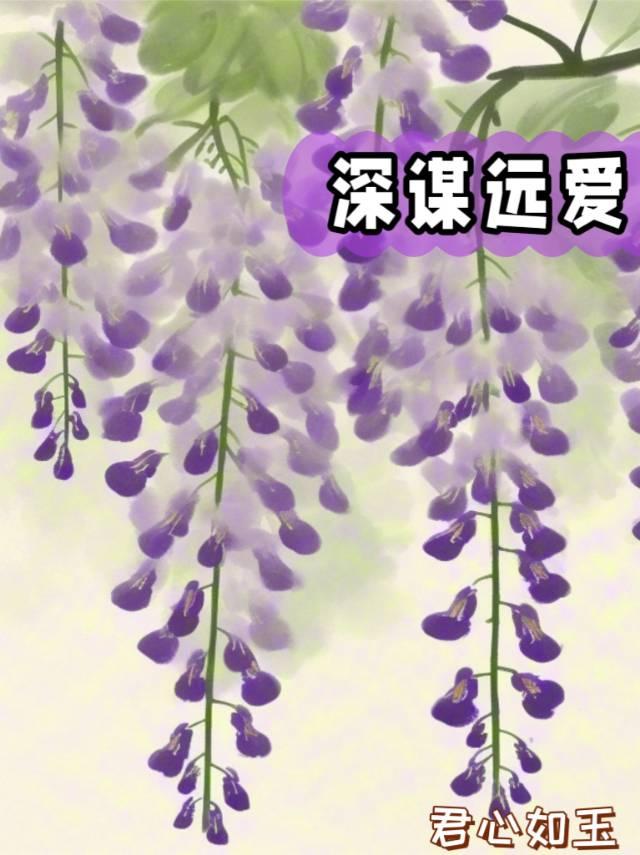 白月光是年代文假千金苏鸢